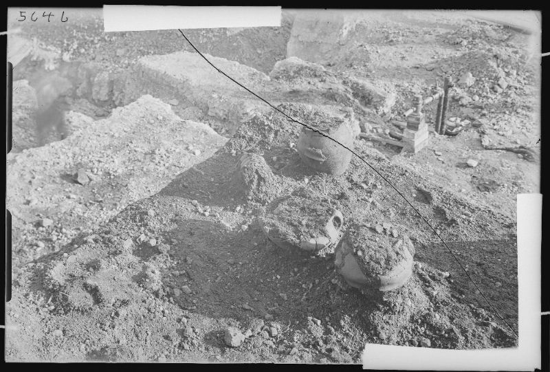 Object Image