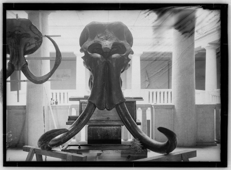 Object Image