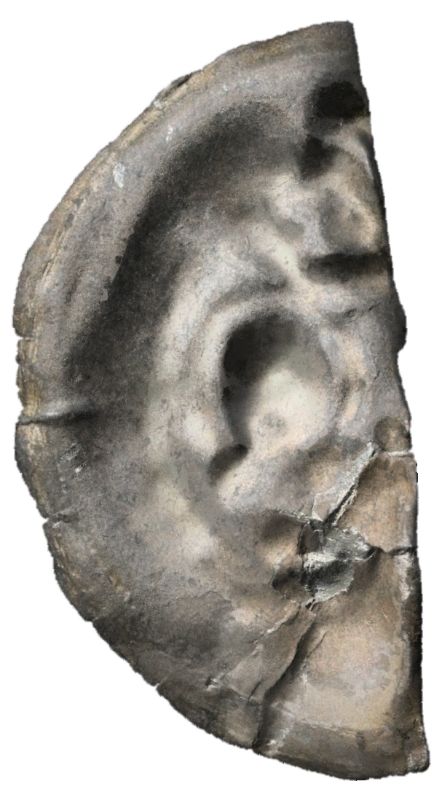 Object Image