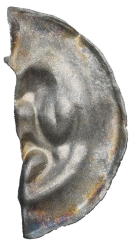 Object Image